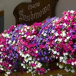 Chasa Baschenowa アパート *