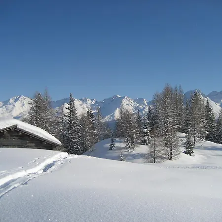 Appartement Chasa Baschenowa *