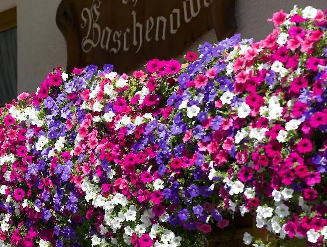 Chasa Baschenowa Apartmán *